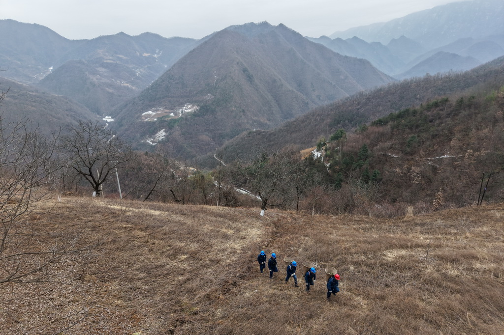 1月18日，在甘肅省隴南市兩當縣泰山鄉新崖村，楊店供電所職工在大山深處巡檢供電線路（無人機照片）。
