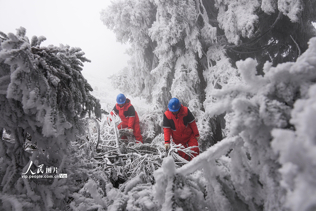 湖北鶴峰：冒雪巡線保供電【3】