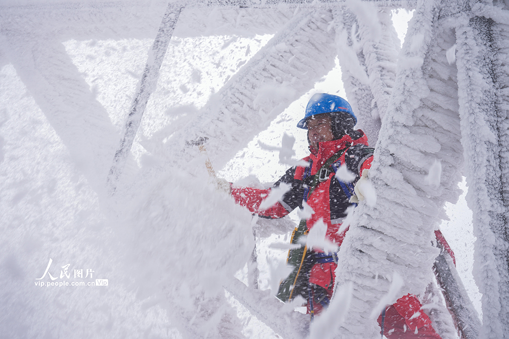 湖北鶴峰：冒雪巡線保供電【7】