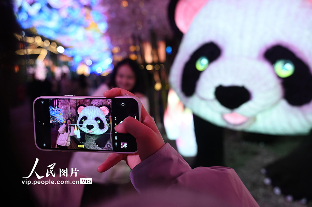 四川：第32屆自貢國際恐龍燈會璀璨亮燈【8】