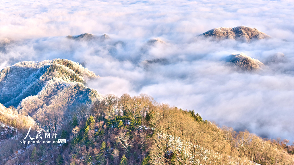 湖北神農架：神農天池現雲海景觀【4】