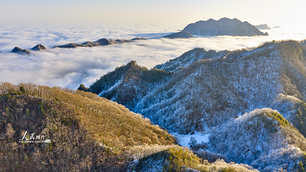 湖北神農架：神農天池現雲海景觀【5】