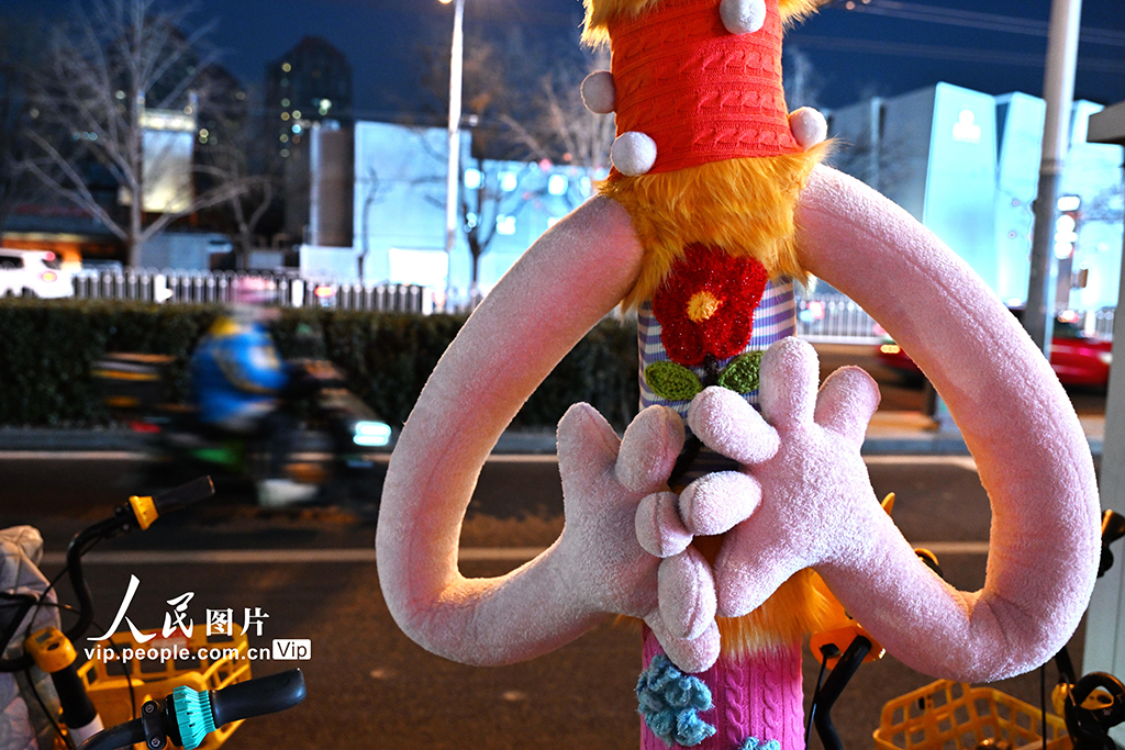 北京:給大樹穿上“暖心毛衣”【5】