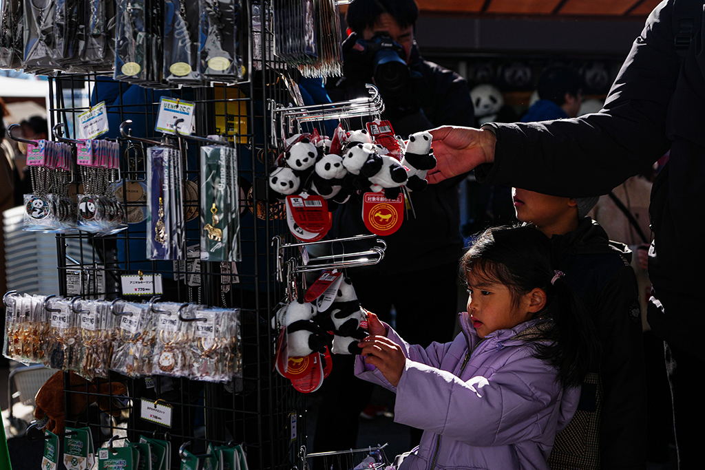 1月25日，游客在日本東京上野動物園挑選大熊貓紀念商品。