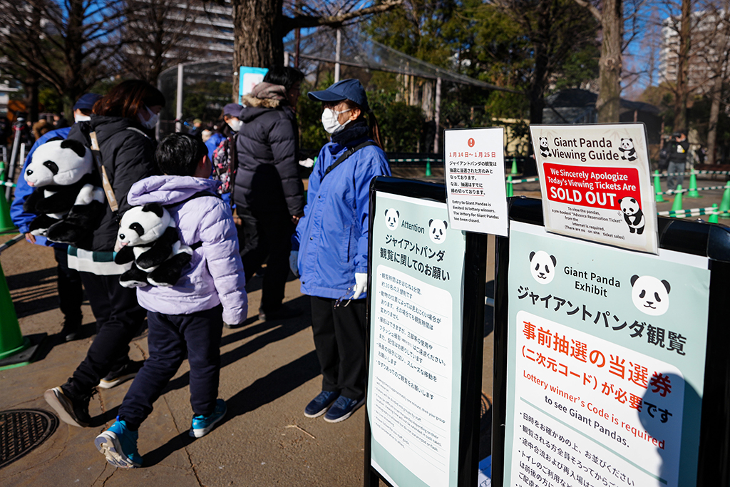 1月25日，游客走進日本東京上野動物園參觀大熊貓。