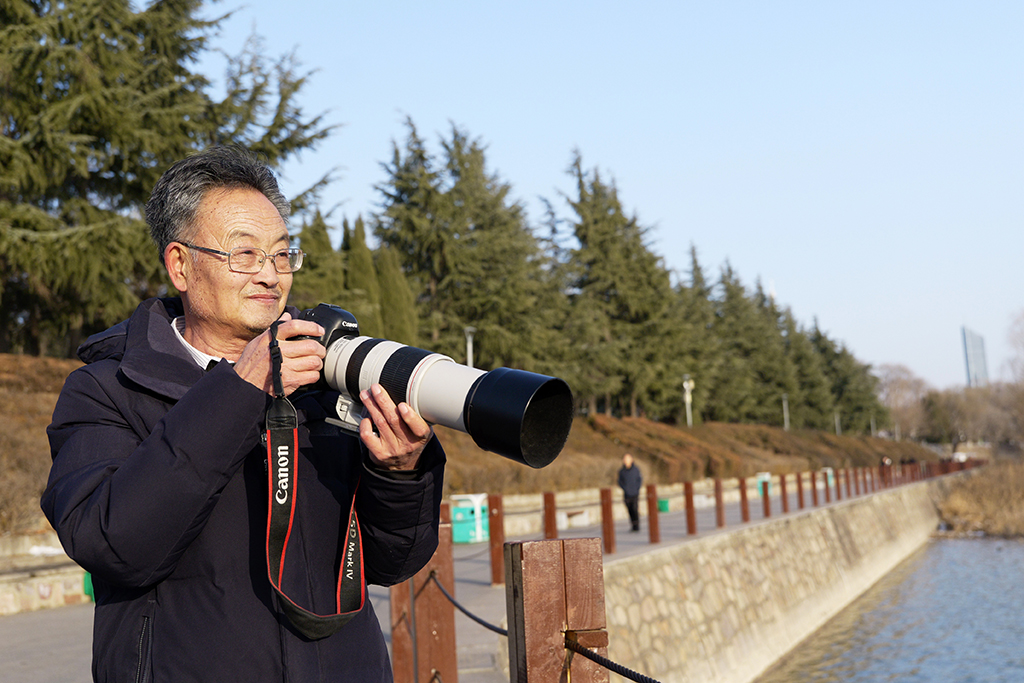 2026年1月20日，全國鳥類環志中心三門峽天鵝湖鳥類環志站站長高如意在三門峽天鵝湖國家城市濕地公園拍攝大天鵝照片留作資料。新華社記者 李嘉南 攝