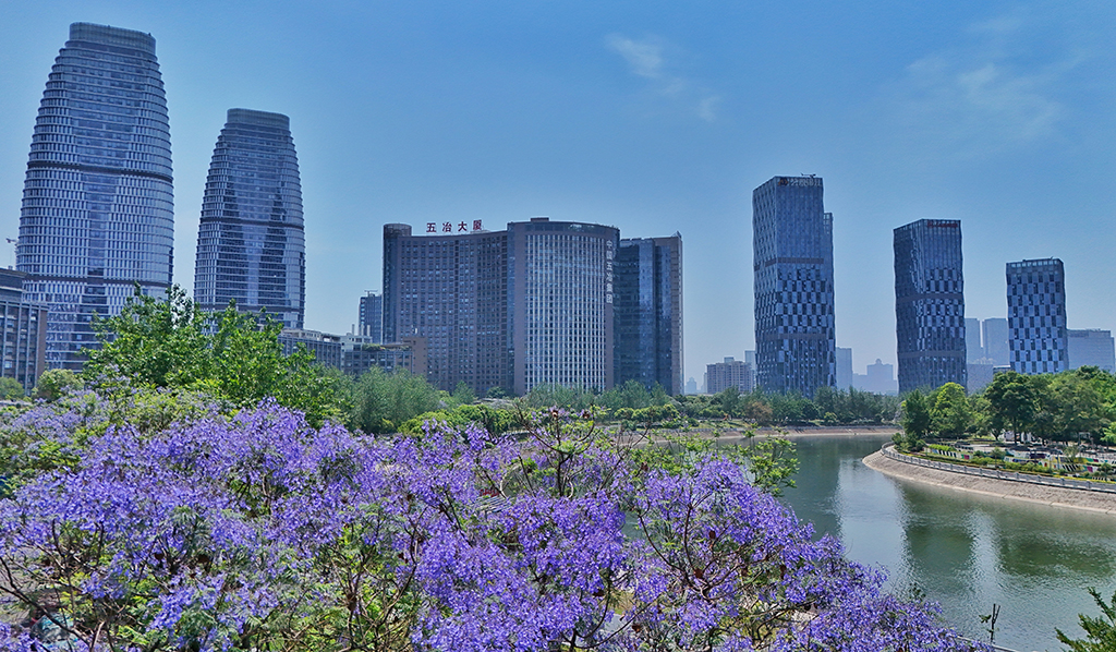2025年5月12日拍攝的四川省成都市錦江區錦江畔風光（無人機照片）。新華社記者 劉坤 攝