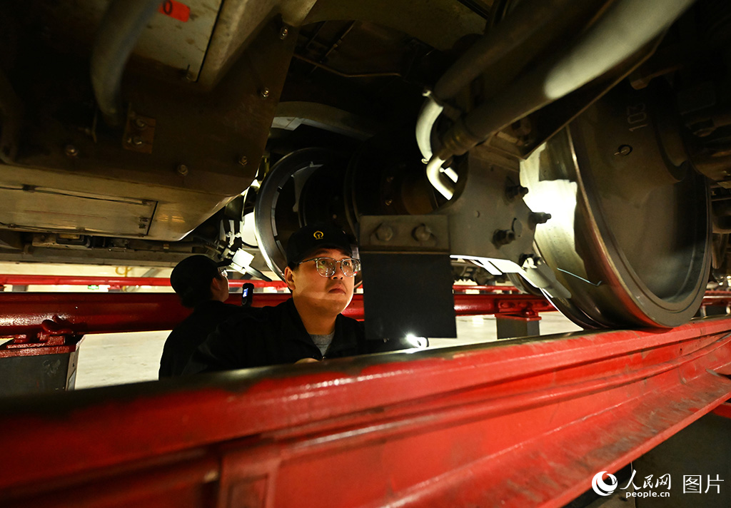 春運即將拉開大幕 動車集結如“陸地航母”【8】