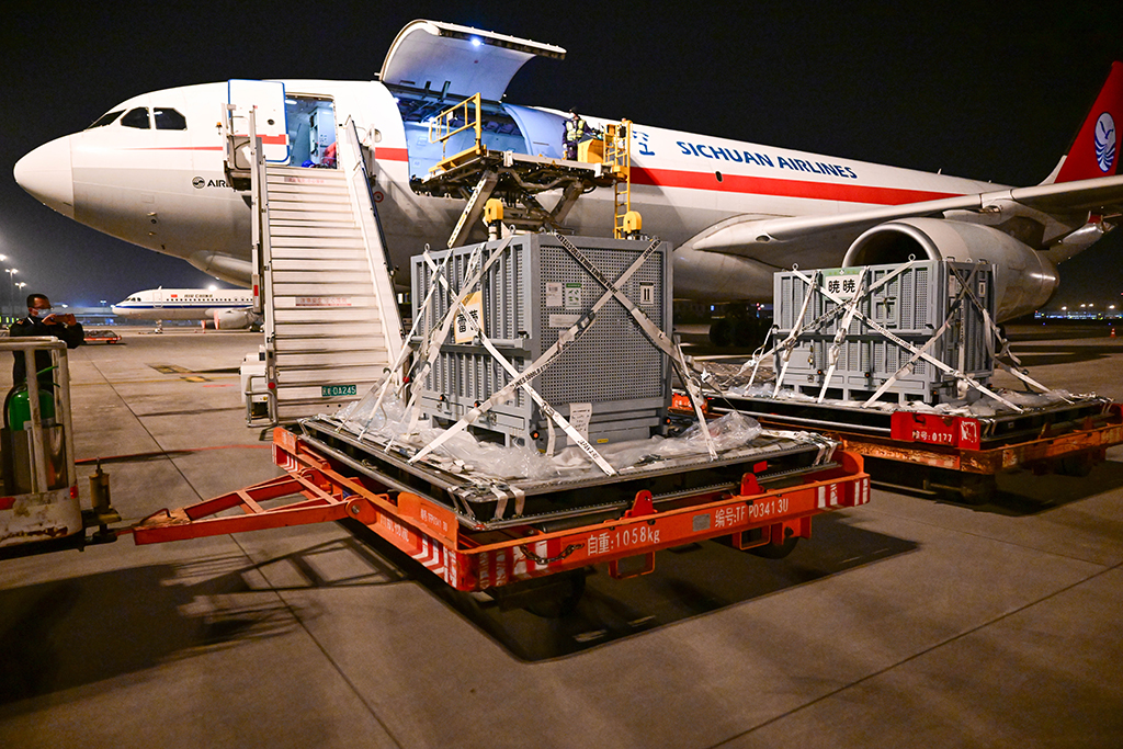 1月28日凌晨，大熊猫“晓晓”“蕾蕾”飞抵成都天府国际机场。新华社发（中国大熊猫保护研究中心供图）