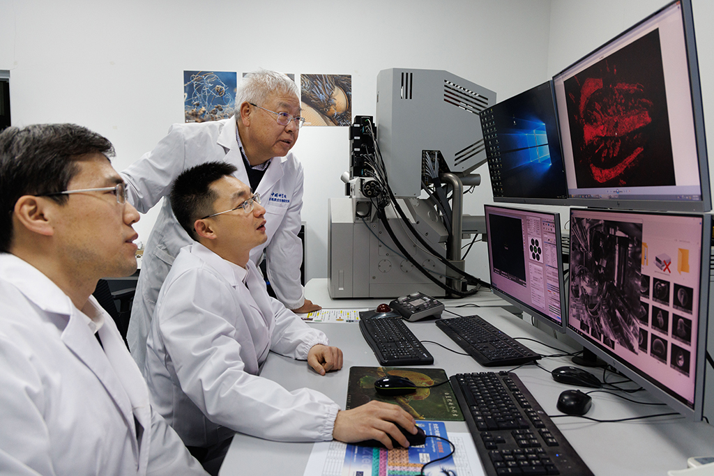 1月22日,在中國科學院南京地質古生物研究所拉曼-場發射聯用掃描電鏡實驗室,中國科學院院士、研究員朱茂炎(后),研究員趙方臣(前),副研究員曾晗(中)在觀察掃描電鏡掃描的化石圖。新華社記者 金立旺 攝