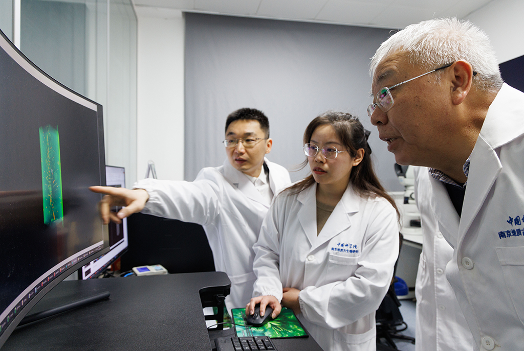 1月22日,在中國科學院南京地質古生物研究所顯微CT實驗室,中國科學院院士、研究員朱茂炎(右一),副研究員曾晗(左一)和同事觀察掃描出來的化石圖。新華社記者 金立旺 攝