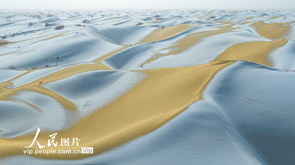新疆尉犁：塔克拉瑪干沙漠雪景如畫【3】