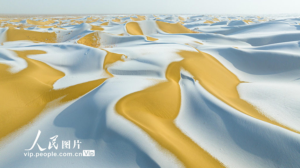 新疆尉犁：塔克拉瑪干沙漠雪景如畫【5】