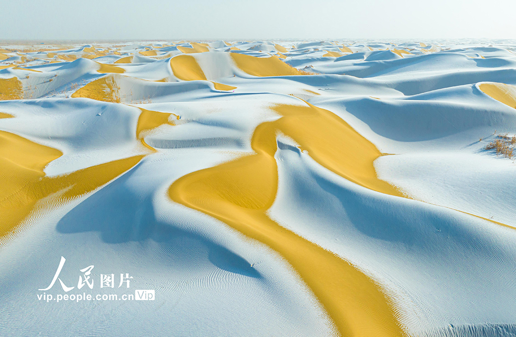 新疆尉犁:塔克拉瑪干沙漠雪景如畫【6】