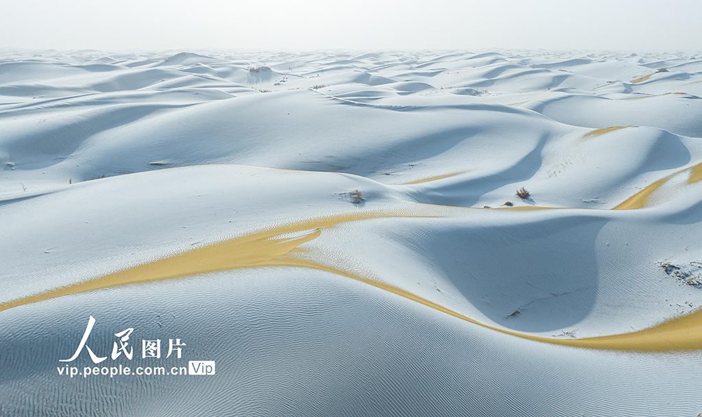 新疆尉犁：塔克拉瑪干沙漠雪景如畫【7】