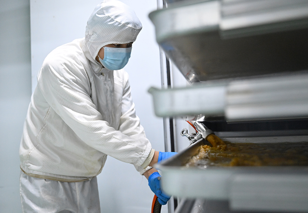 1月27日，在河南濮阳县的中国（濮阳）埃塞咖啡产业示范园冻干车间，工作人员利用喷枪向盘内注入成品咖啡液，准备冷冻。