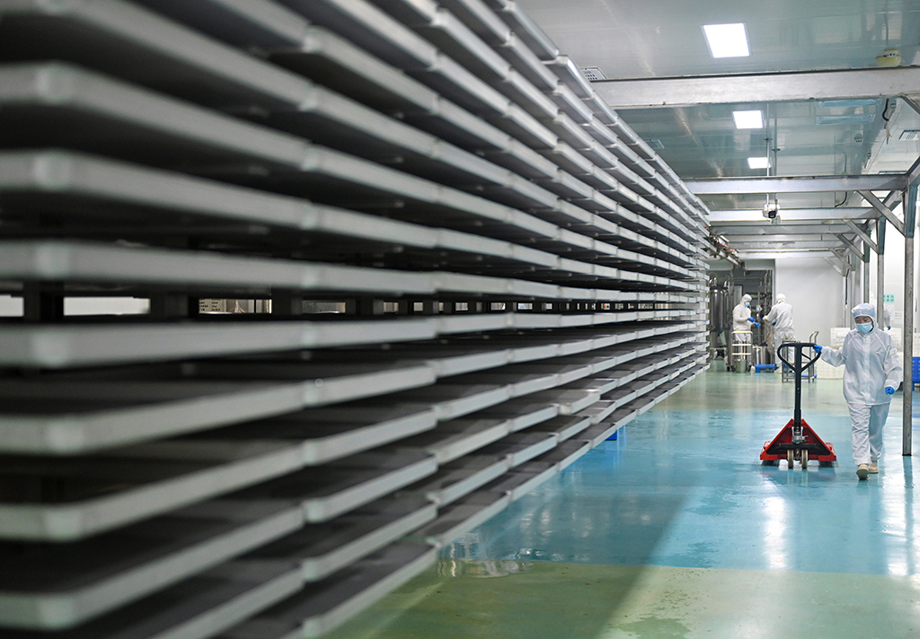 1月27日，在河南濮阳县的中国（濮阳）埃塞咖啡产业示范园冻干车间，工作人员在忙碌。