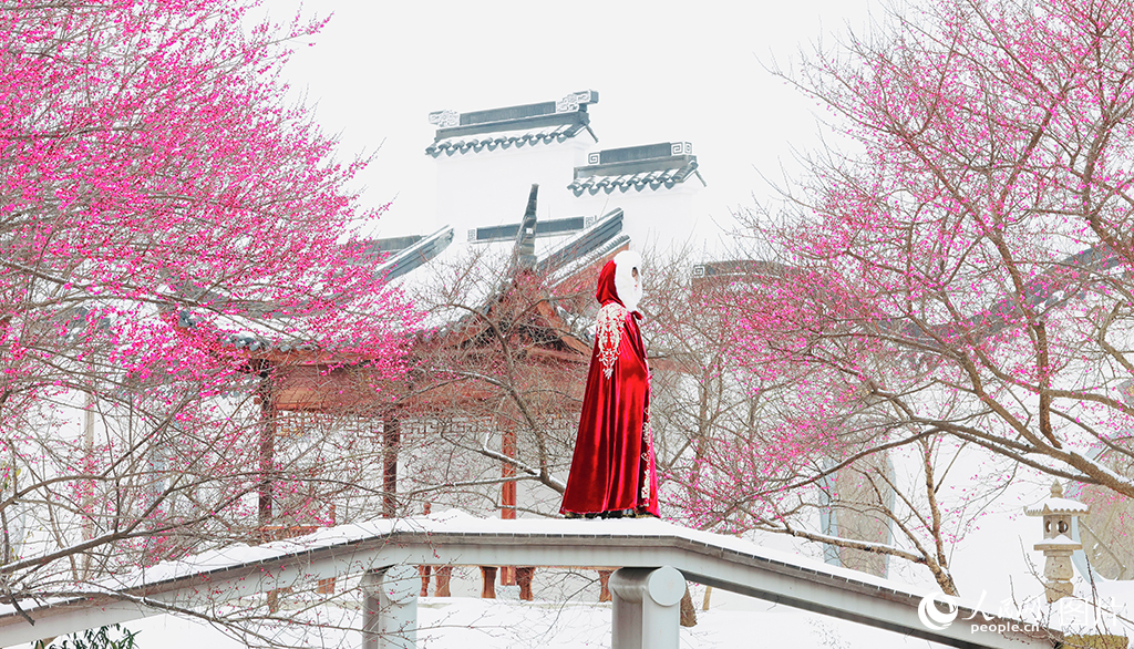 2026年1月20日，游客在湖北荆州梅园踏雪赏梅。人民网记者 王郭骥摄