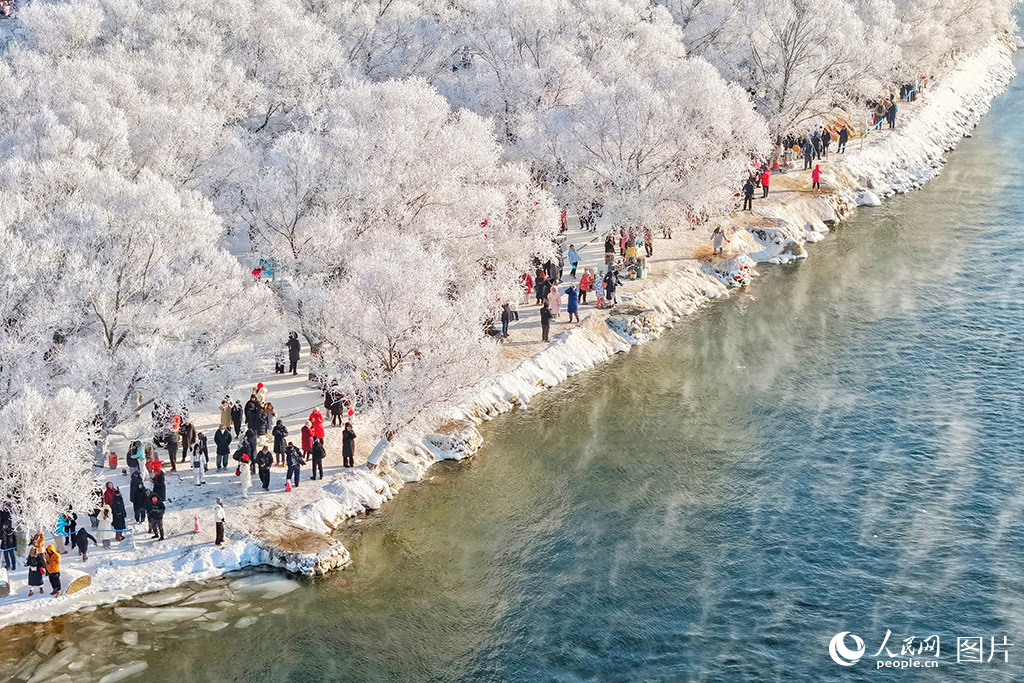 2026年1月18日，吉林市出现“五星级”雾凇景观，吸引大批市民和游客前来游览观赏。人民网记者 李洋摄