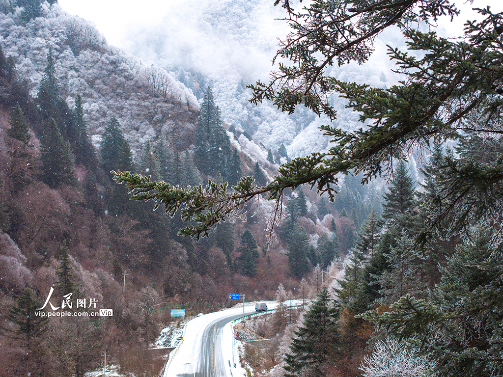 甘肅宕昌：公路蜿蜒畫“水墨” 【2】