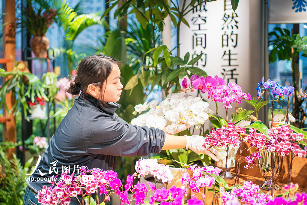 上海：年宵花爭奇斗艷【2】