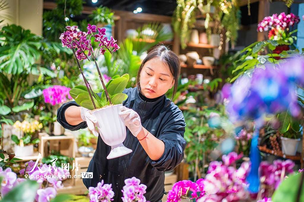 上海：年宵花爭奇斗艷【3】