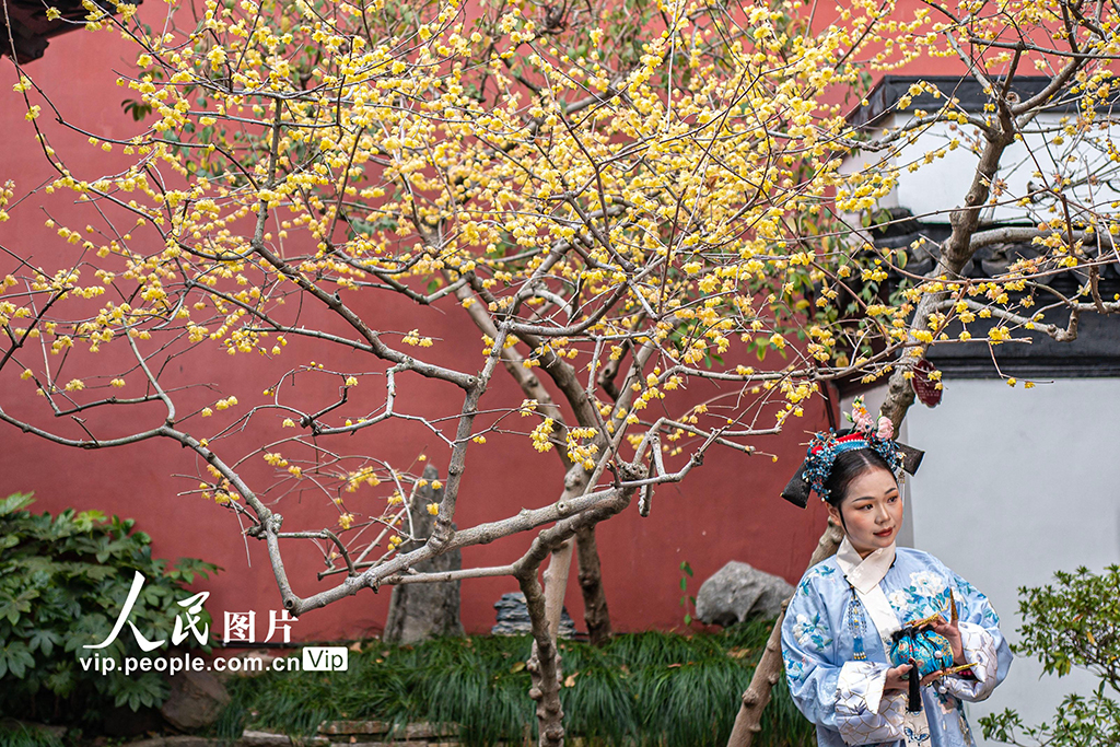 上海：曲水园赏梅【3】