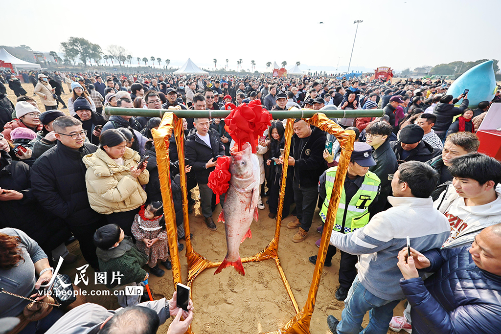 浙江嘉兴:“鱼乐迎新岁”新春嘉年华活动启幕【4】