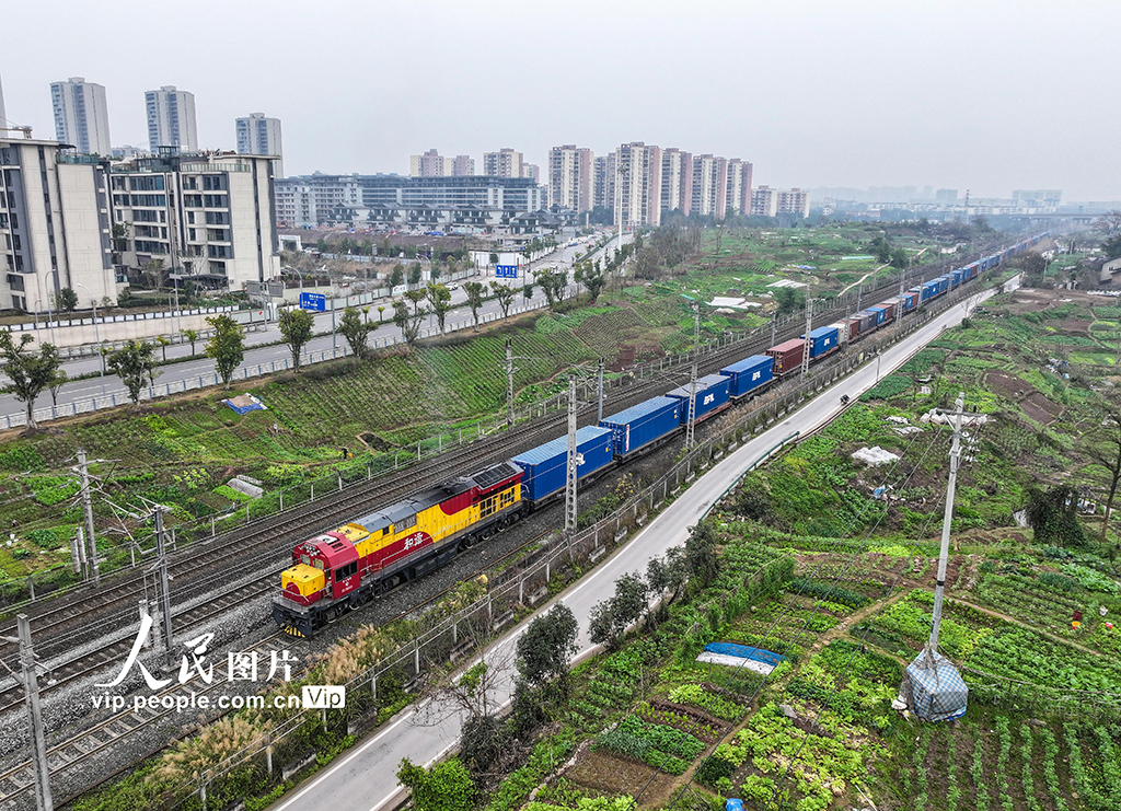 2026年首趟西部陸海新通道年貨班列抵達重慶【5】