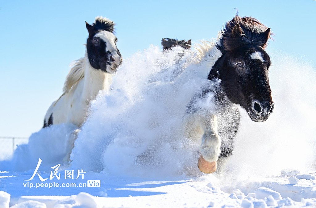 內蒙古錫林郭勒：策馬踏雪迎新春【4】
