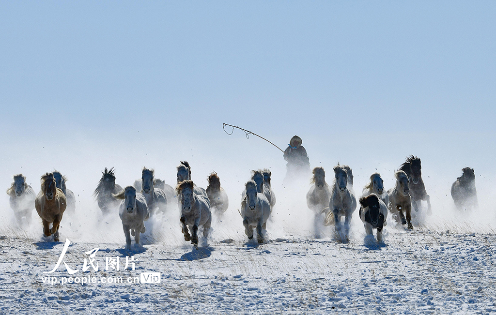 内蒙古锡林郭勒：策马踏雪迎新春【6】