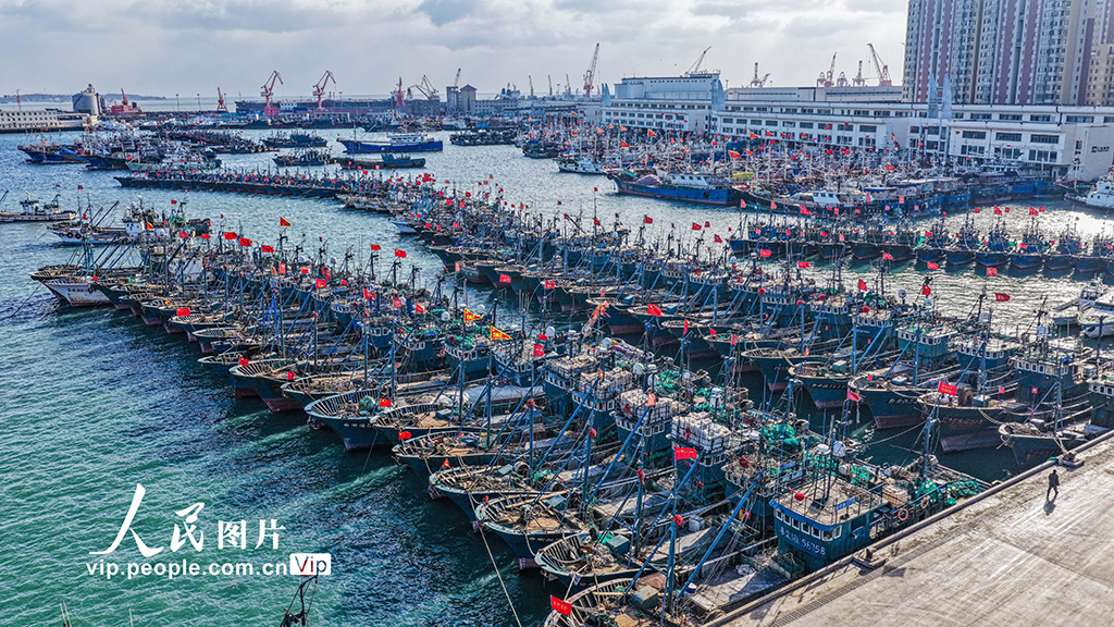 山東榮成：漁船歸港避風【4】