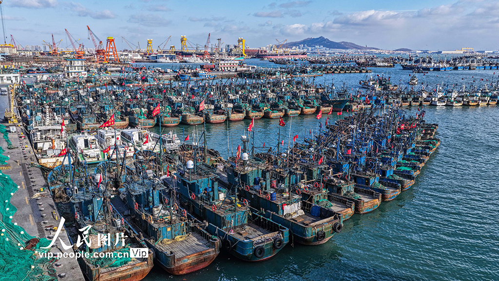 山東榮成：漁船歸港避風【2】