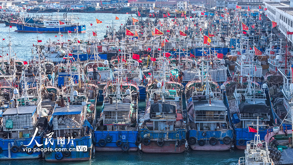 山東榮成：漁船歸港避風【5】