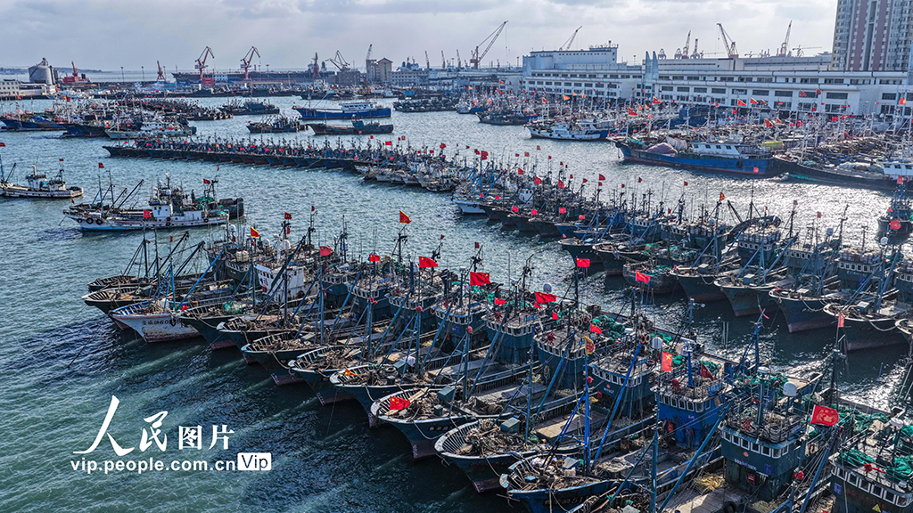 山東榮成：漁船歸港避風【7】