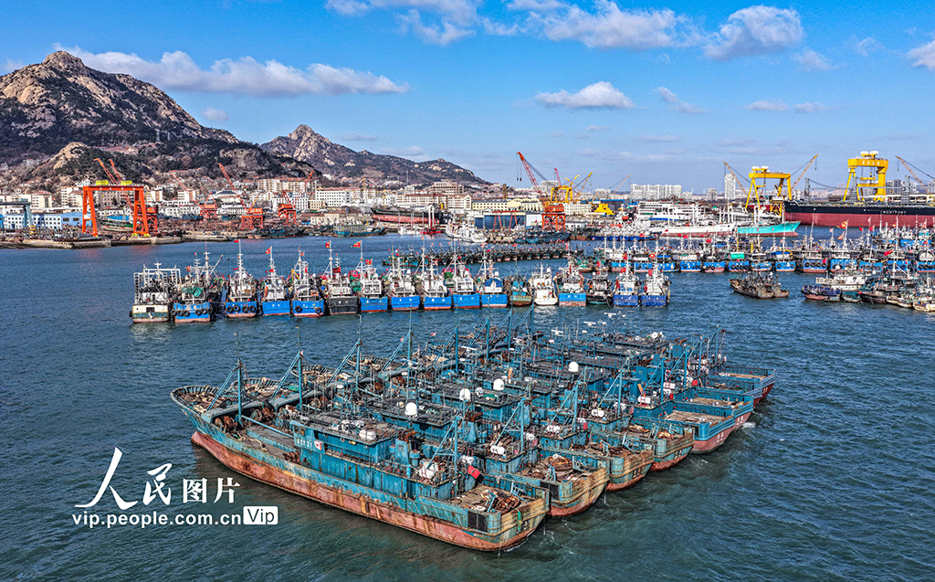 山東榮成：漁船歸港避風【8】