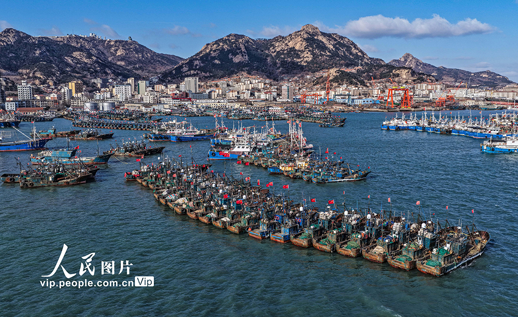 山東榮成：漁船歸港避風【9】