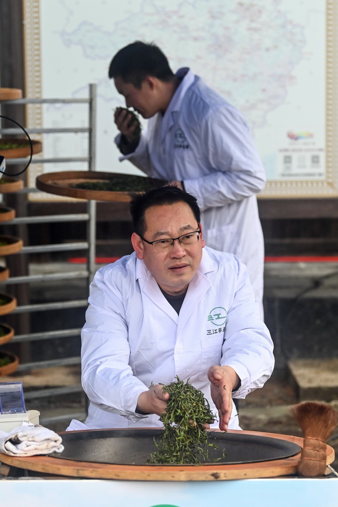 2月6日，在廣西三江侗族自治縣林溪鎮高友村，工作人員在制作早春茶。
