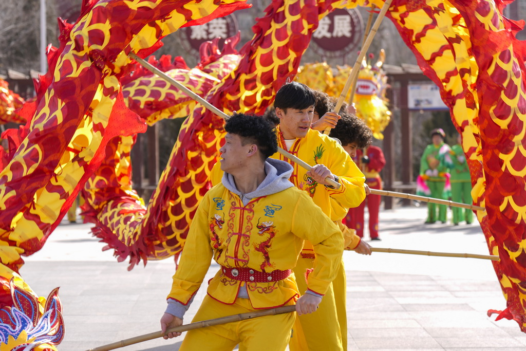 2月5日,北方民族大学国际教育学院的留学生在宁夏银川市西夏区芦花洲社区体验舞龙。