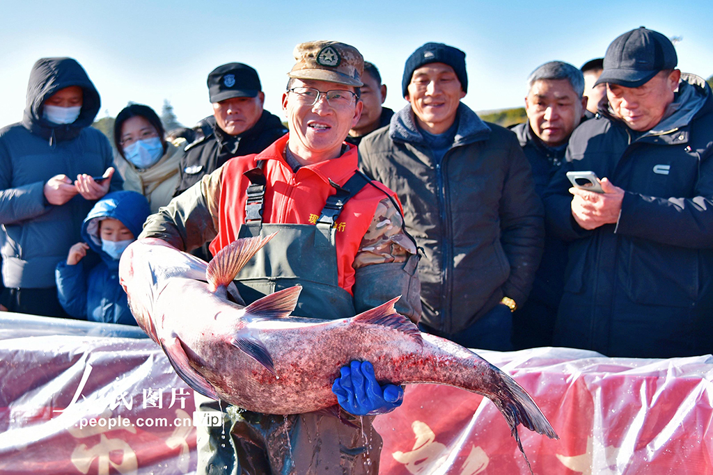 江蘇如皋：龍游湖冬捕迎新春【2】