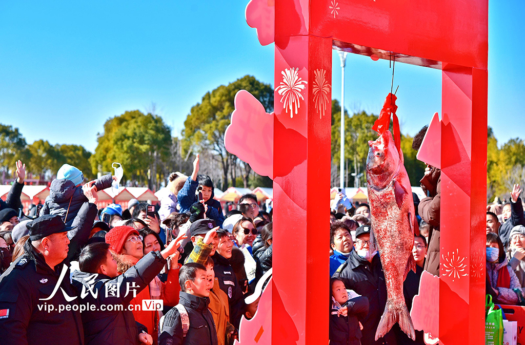 江蘇如皋：龍游湖冬捕迎新春【5】