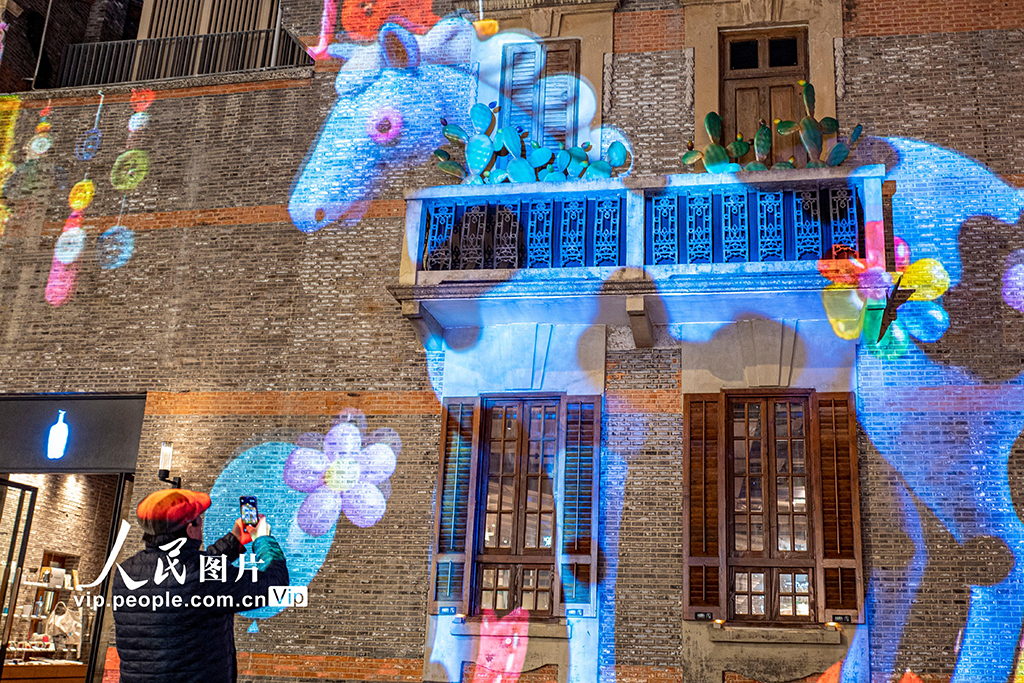 上海：光影盛宴迎新春【3】