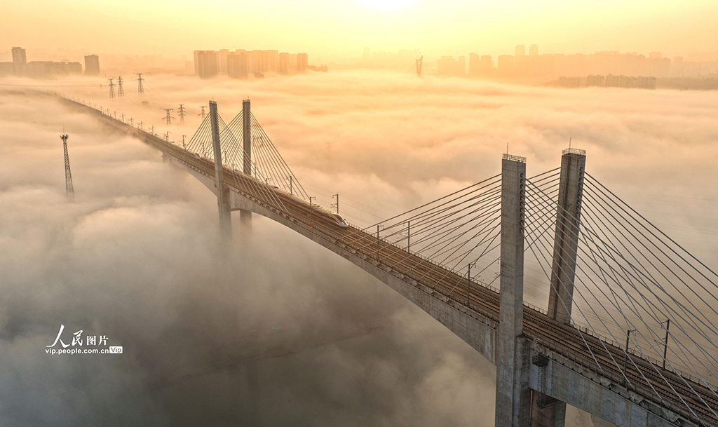 四川泸州:晨雾迷漫宛如“天空之城”【3】