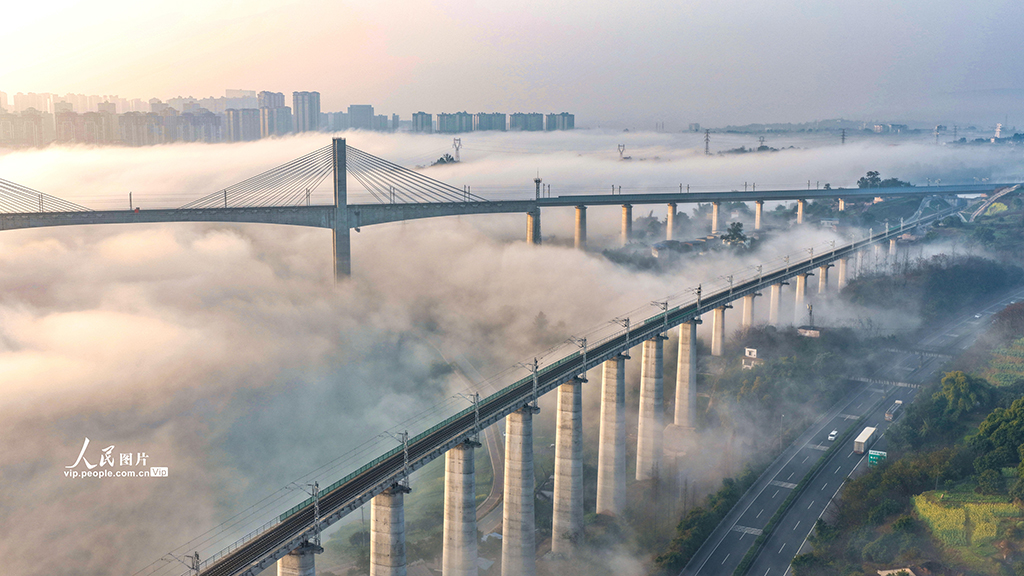 四川泸州:晨雾迷漫宛如“天空之城”【4】