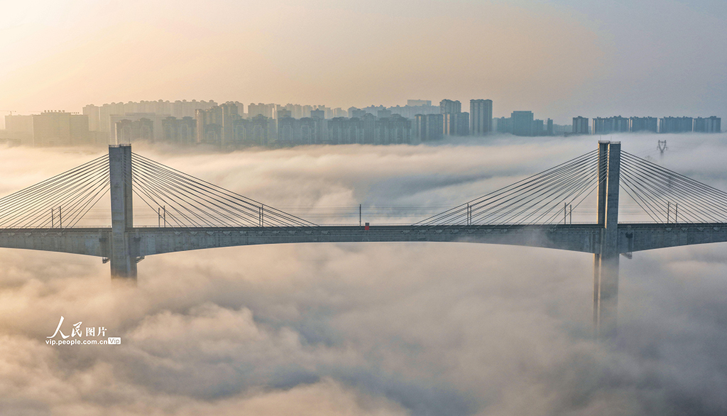 四川泸州：晨雾迷漫宛如“天空之城”【7】