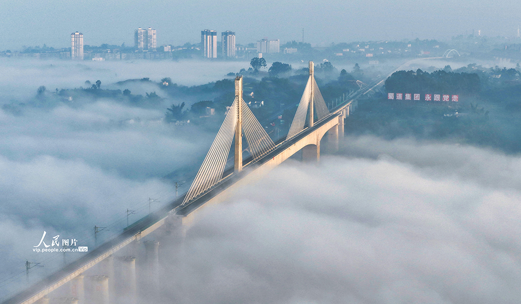 四川泸州:晨雾迷漫宛如“天空之城”【8】