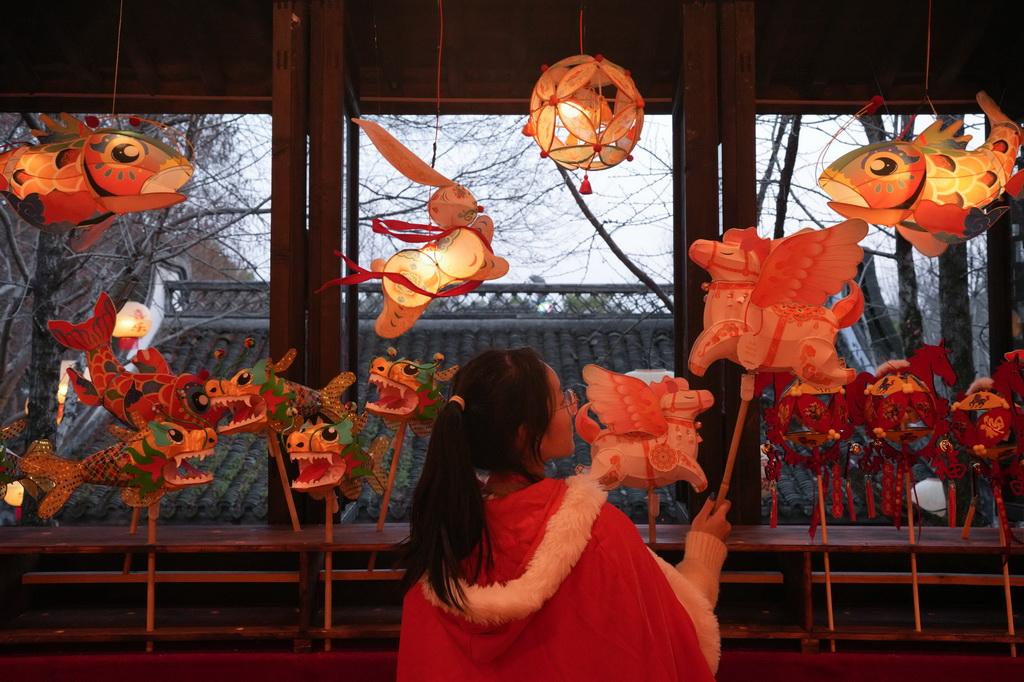 2月11日,一名女子在西溪湿地观看花灯。