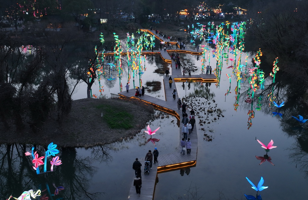 2月11日,游客在西溪湿地的花灯间行走(无人机照片)。