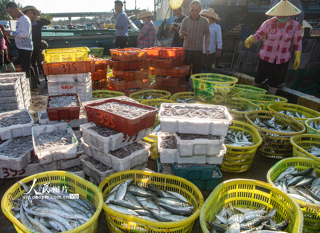 海南琼海：渔港交易忙【4】