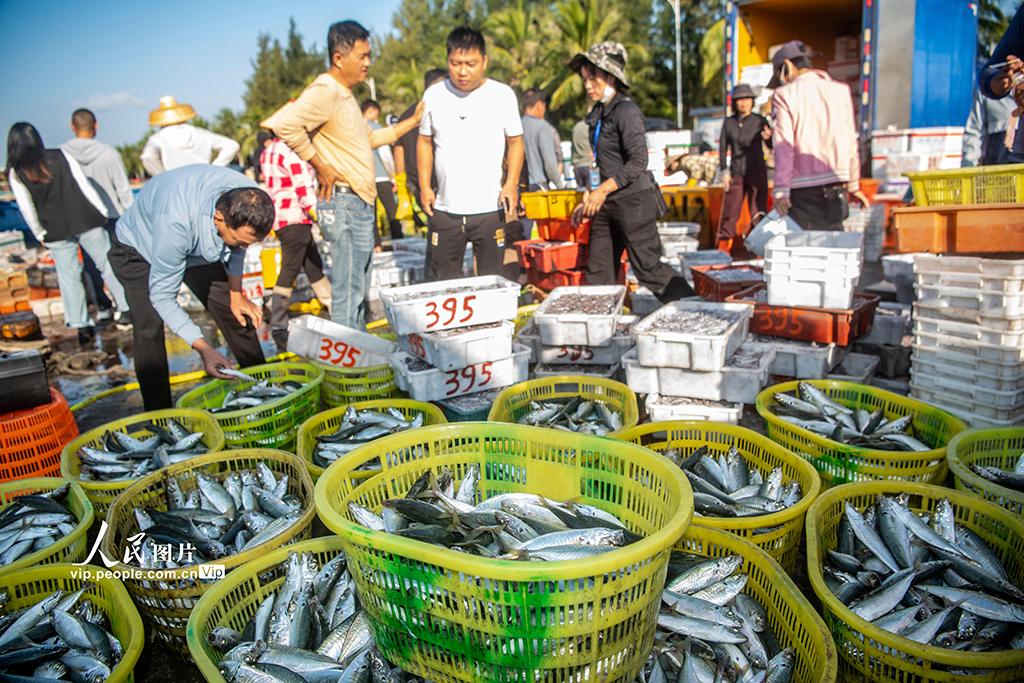 海南琼海：渔港交易忙【2】